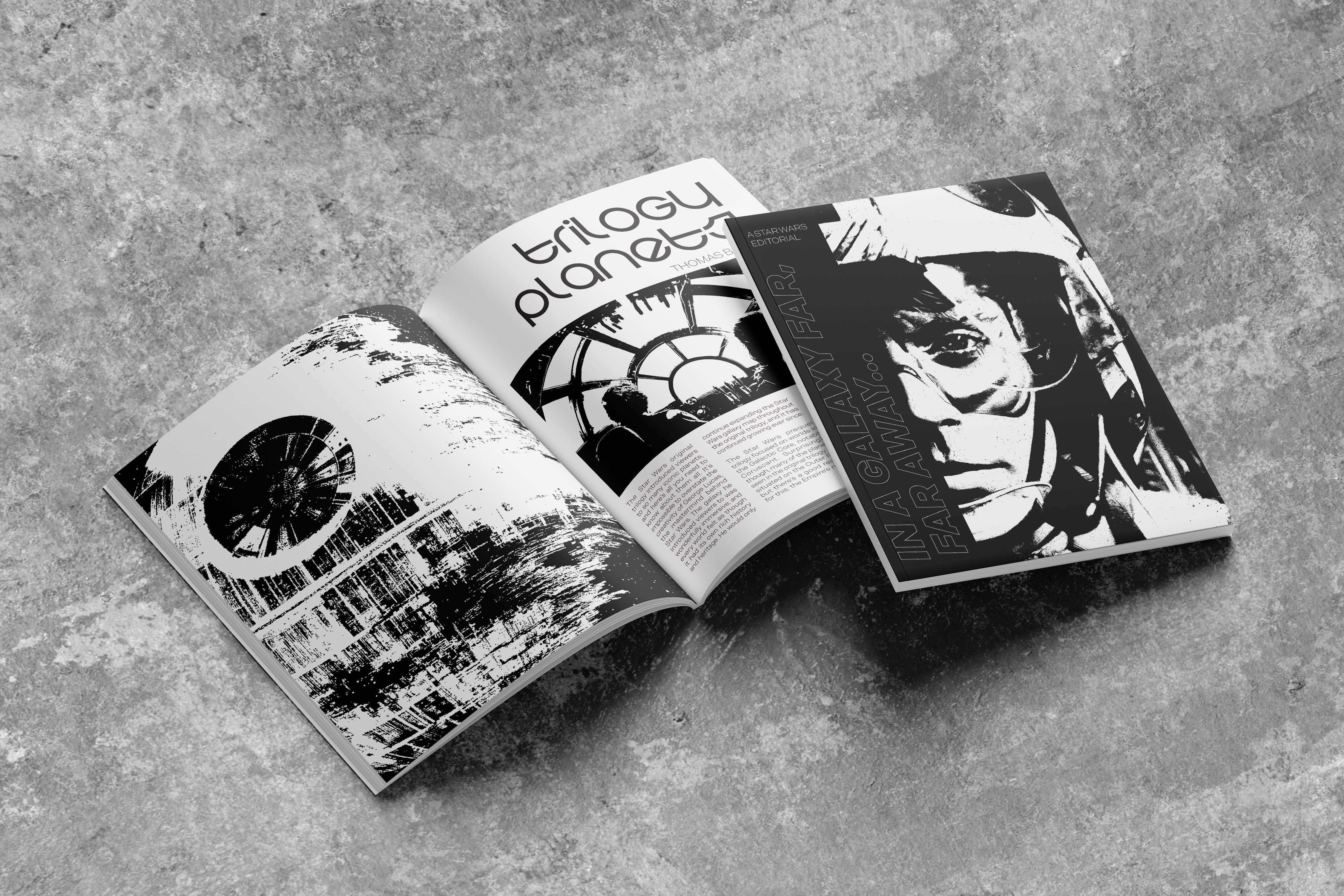 SWPublication_1
