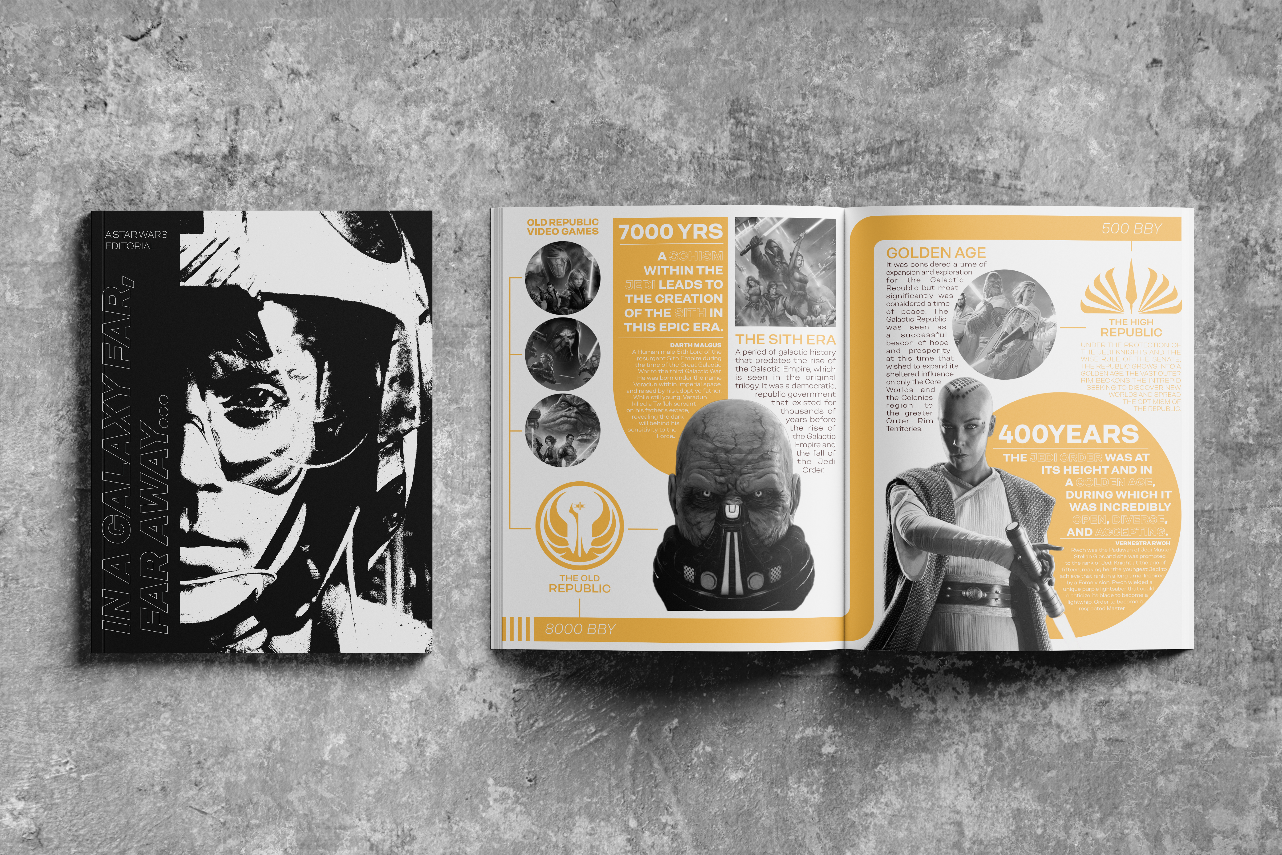 SWPublication_3