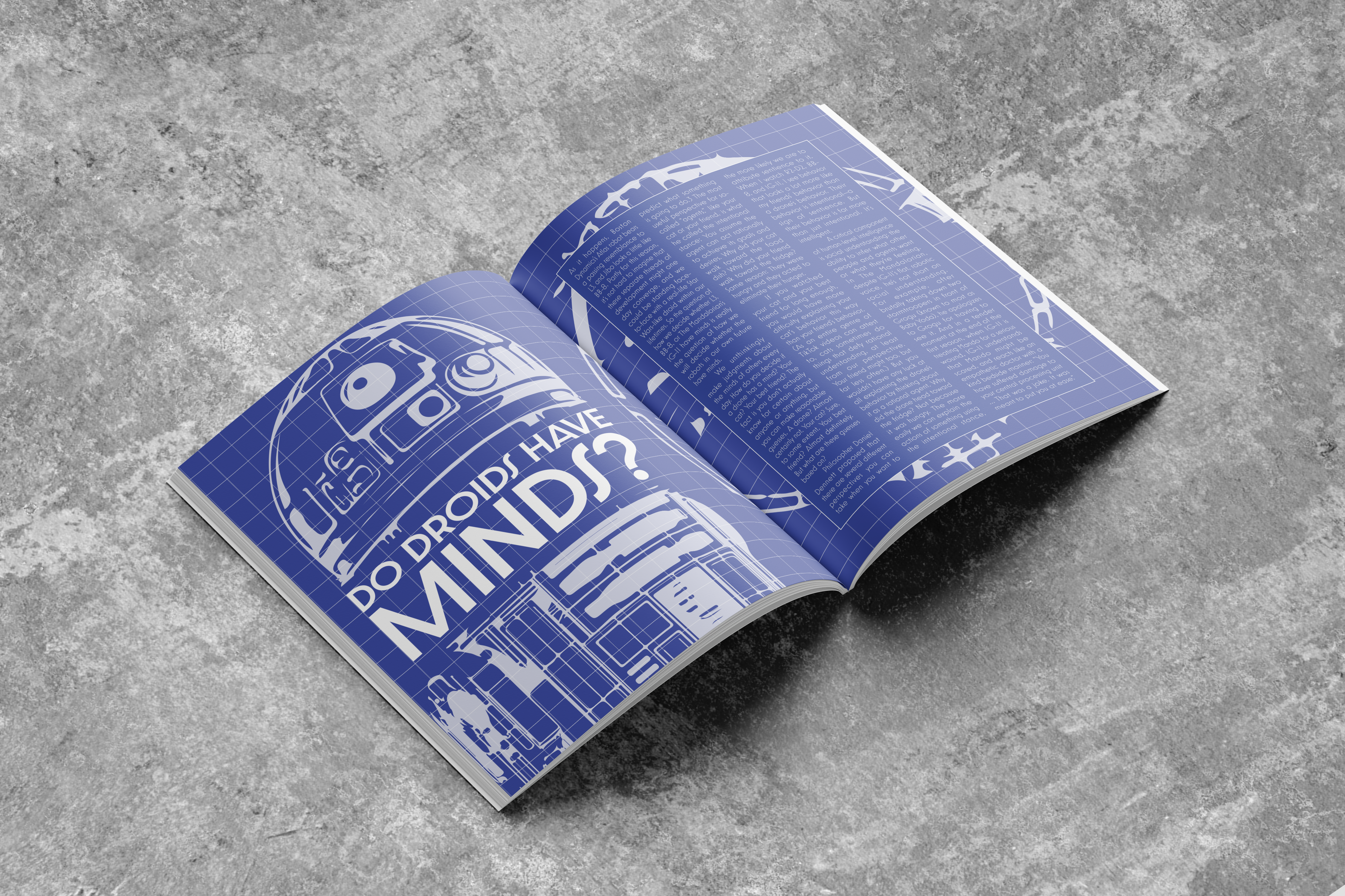 SWPublication_6